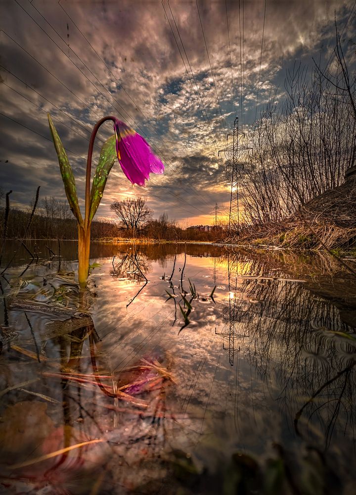 Photograph by Александр Разумов