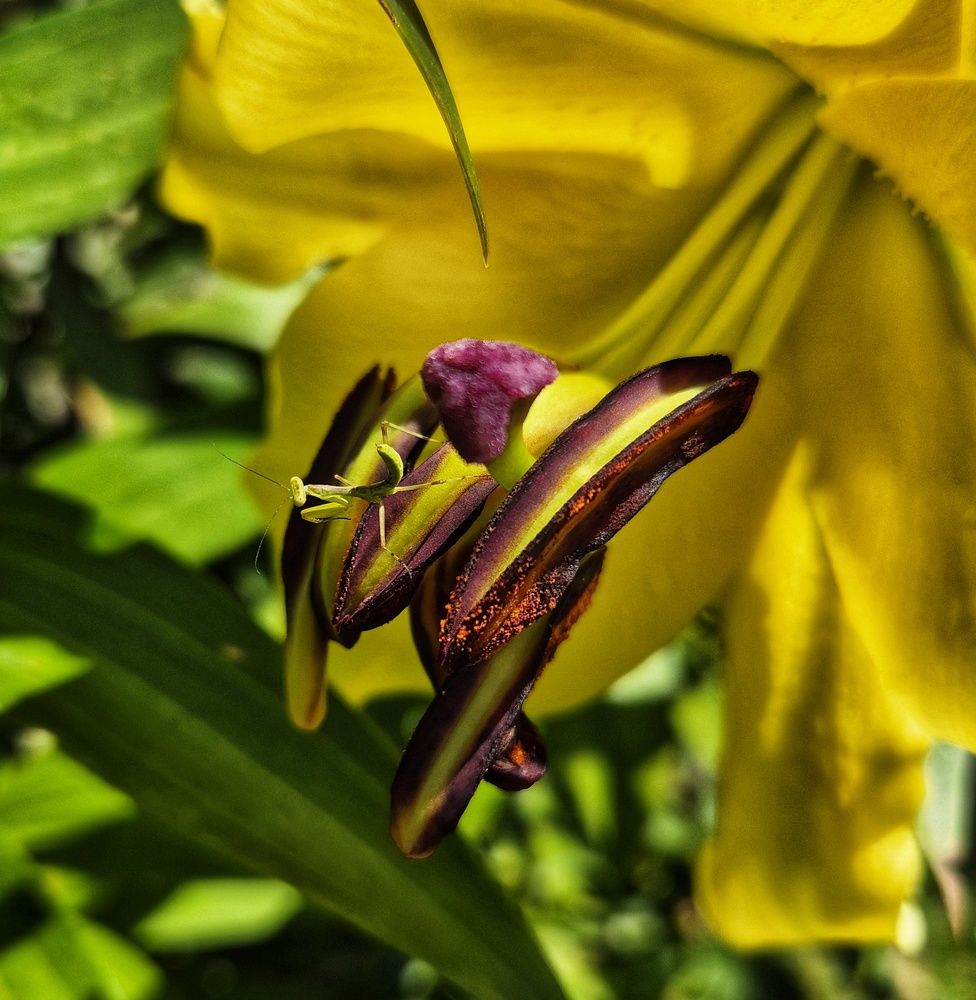 Photograph by Юлия Коробкова