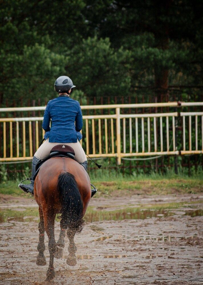 Photograph by Алина Соснина