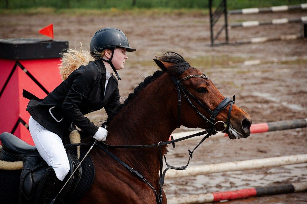 Photograph by Алина Соснина