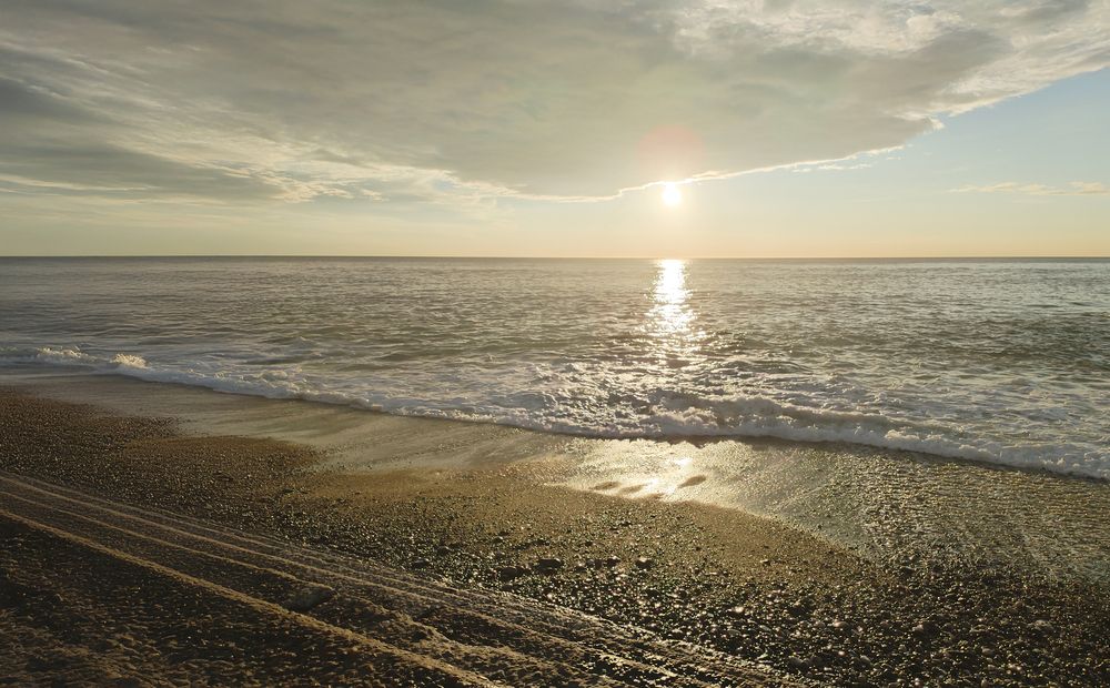 Photograph by Светлана Волхонская