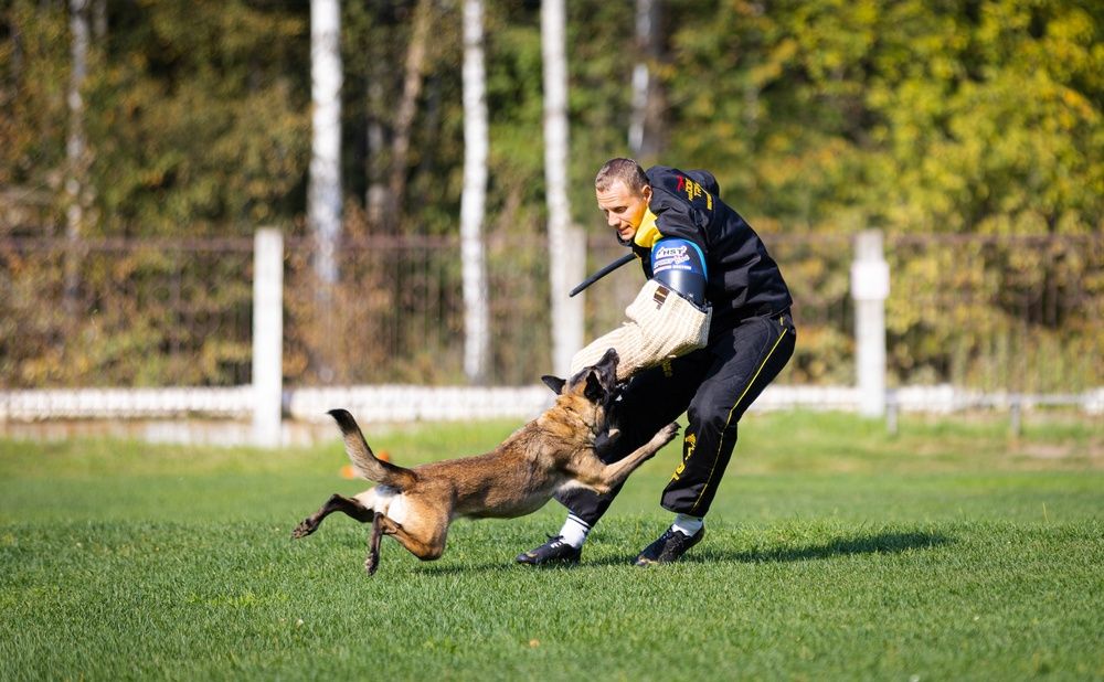 Photograph by Виолетта Бастет