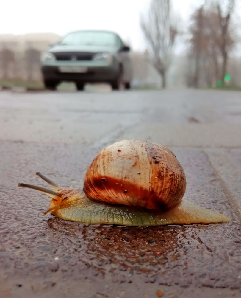 Photograph by Светлана Смирнова