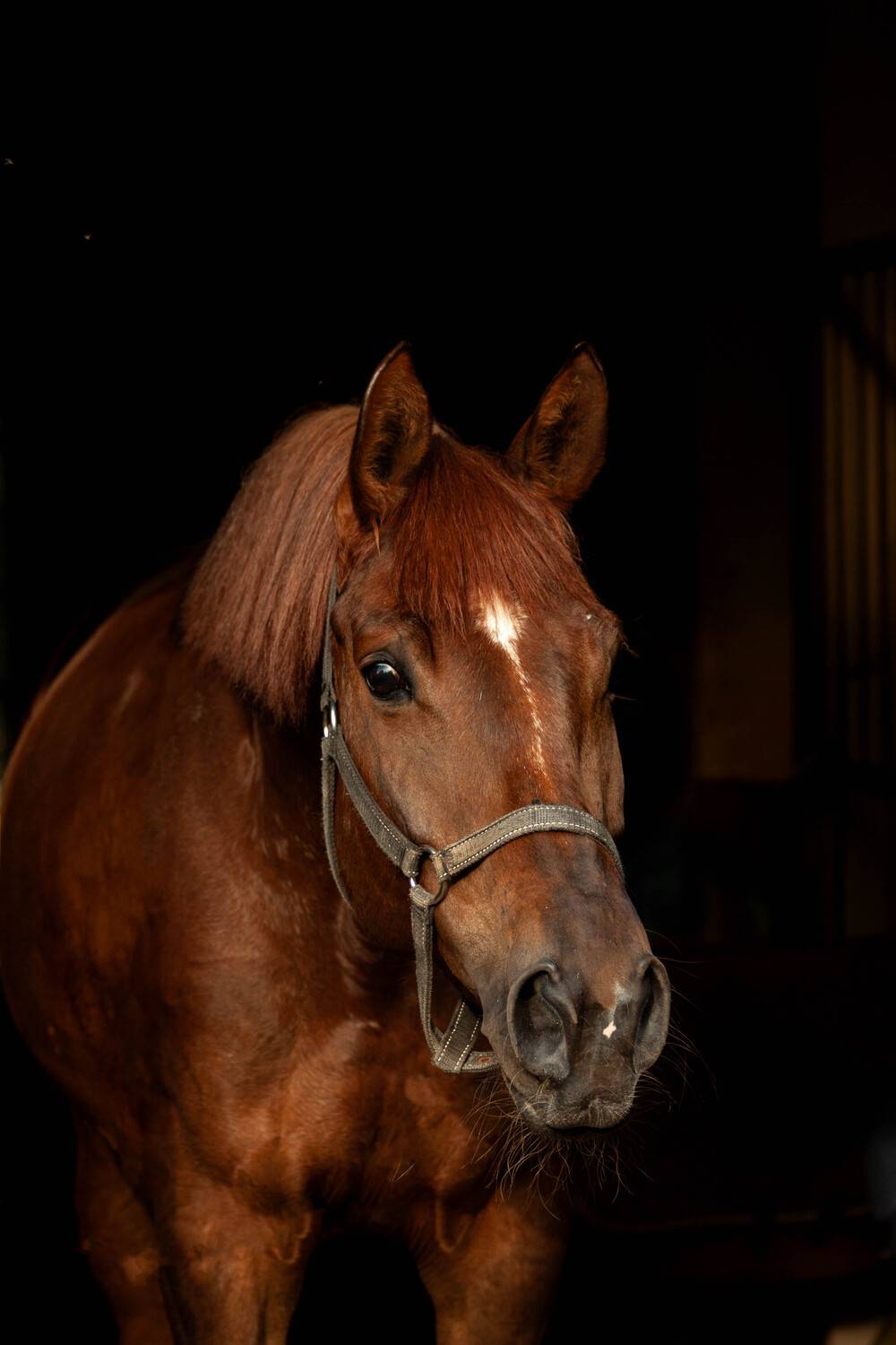 Фотография #12421750