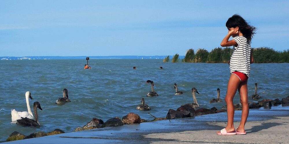 Photograph by Marina Razheva