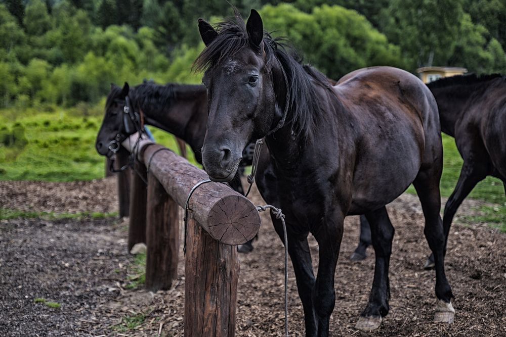 Photograph by Evgeniy