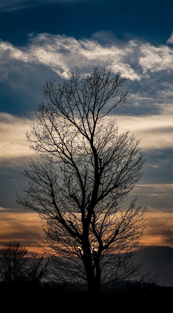 Photograph by Mehrad Mallaei