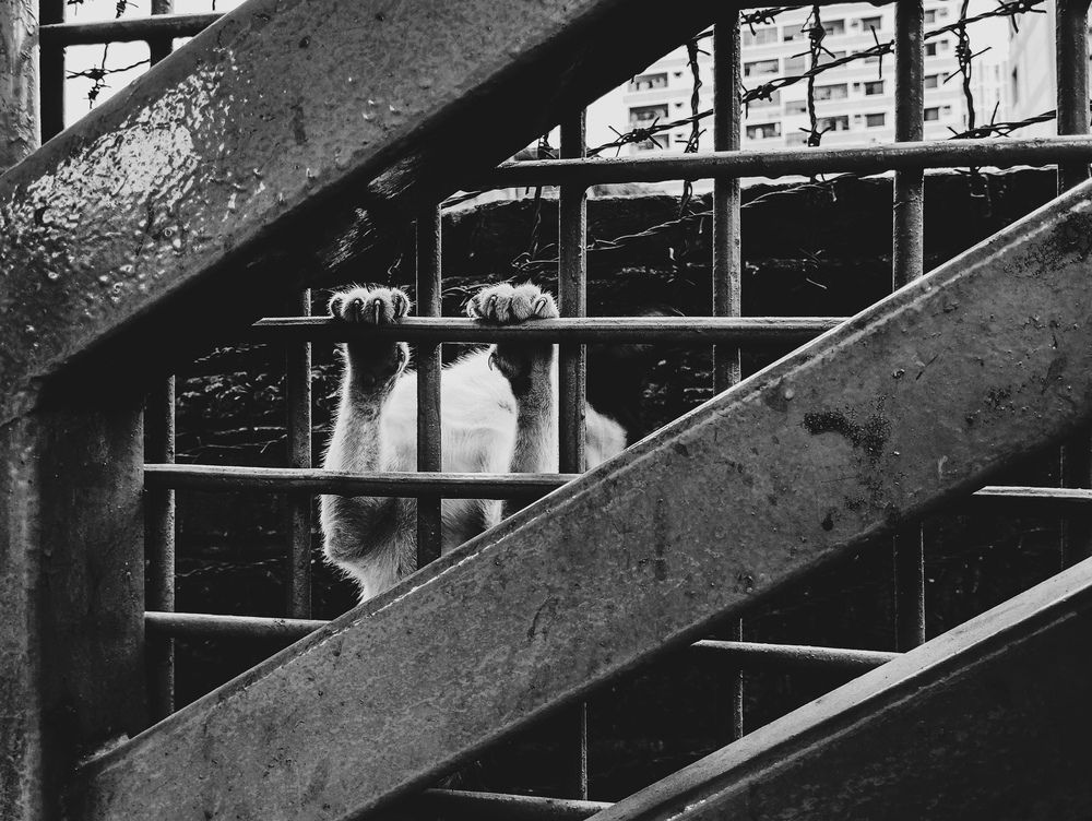 Photograph by Mortuza Dipto