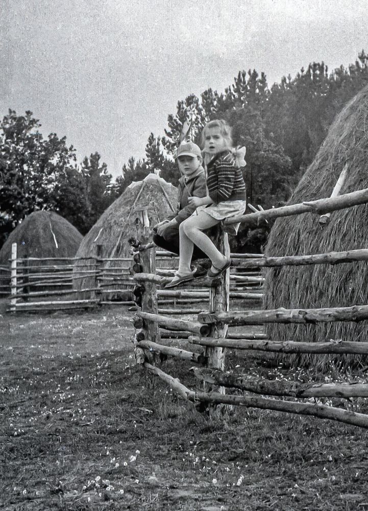 Photograph by Vladimir  Komarov