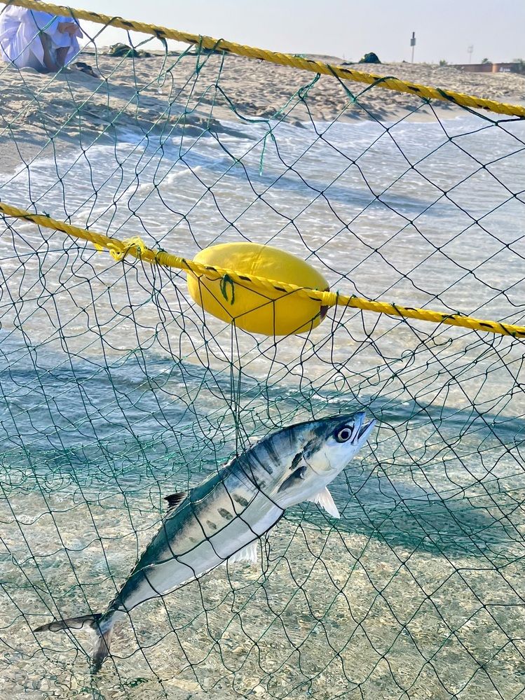 Photograph by Ольга Белоусова