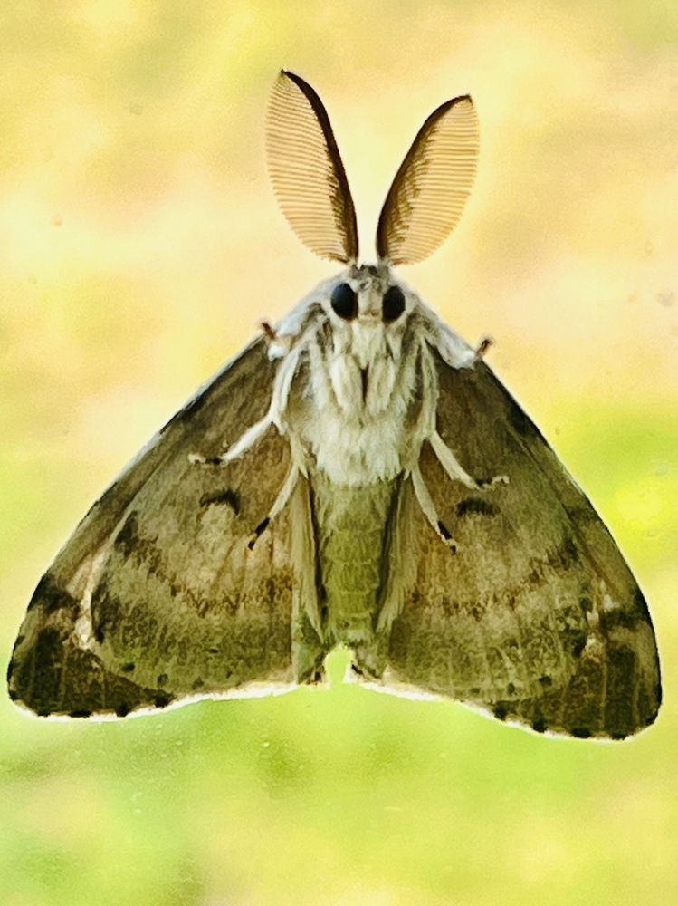 Photograph by Ольга Белоусова