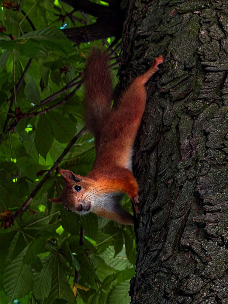 Photograph by Анна Пигулевская