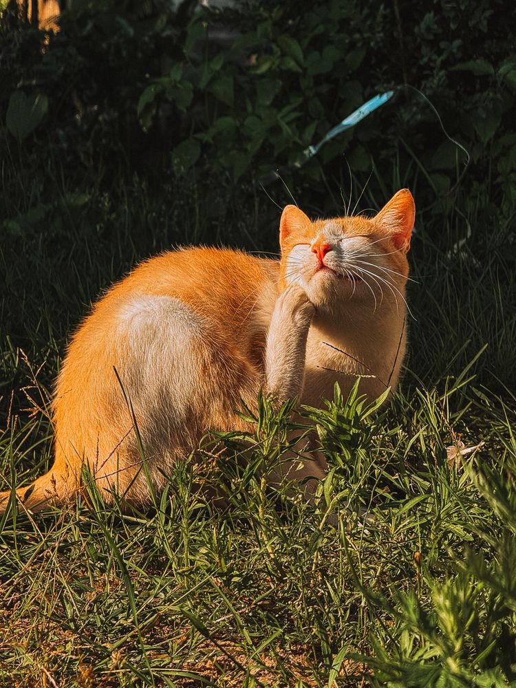 Photograph by Анна Пигулевская