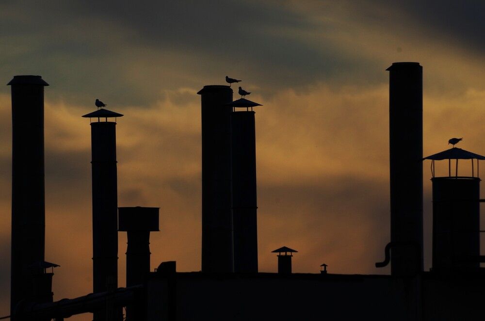 Photograph by павел николаевич