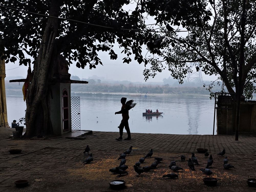 Фотография автора HARSHIT MISHRA