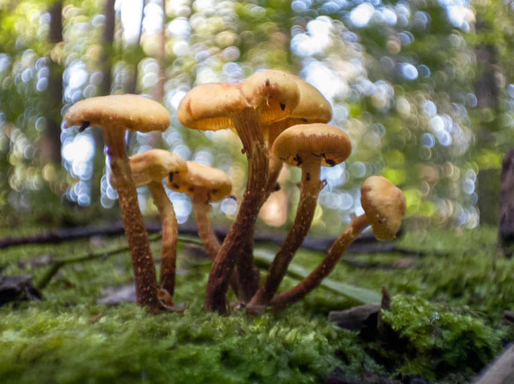 Photograph by Julia Zaharova