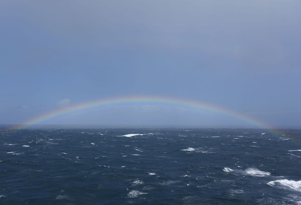 Photo #12422426