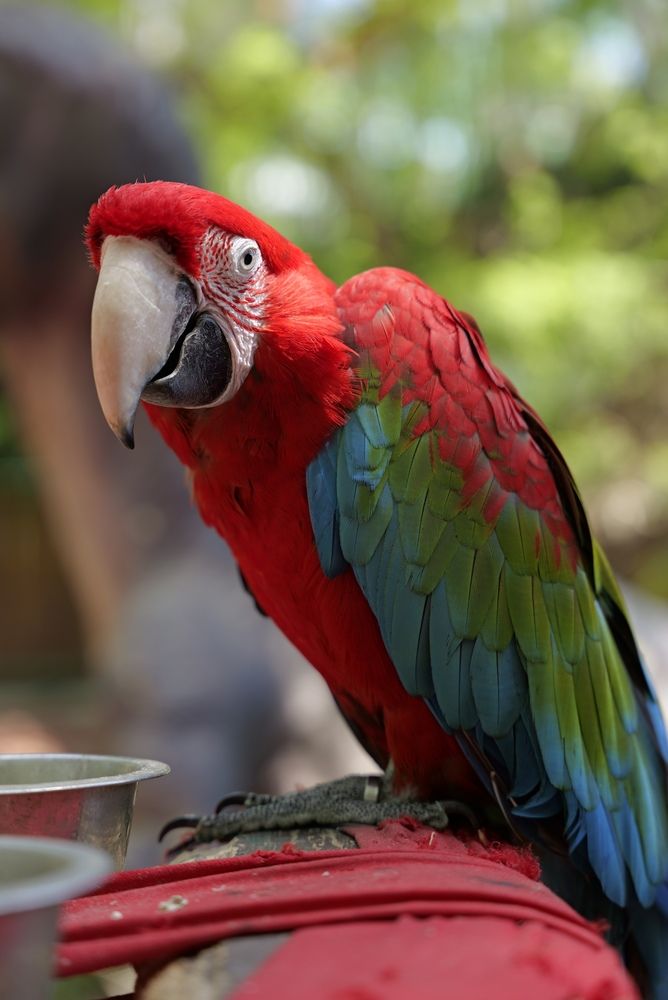 Photograph by Artur Smyrnov (Davidfantasy)