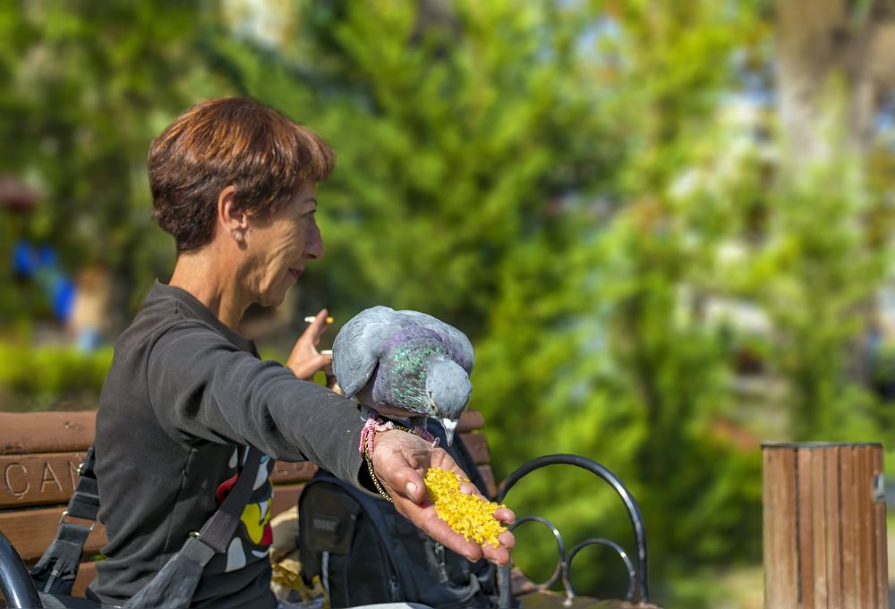 Photograph by محمودرضا نورایی