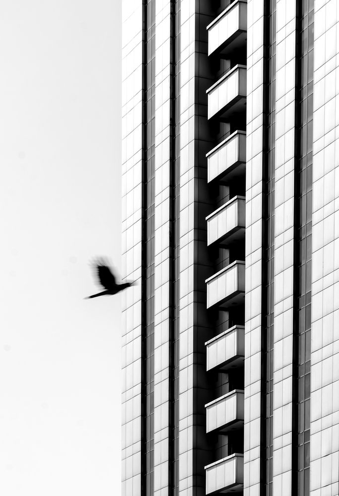 Photograph by محمودرضا نورایی