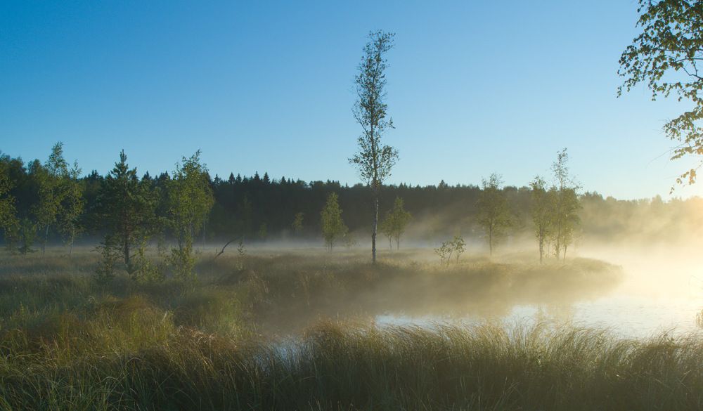 Photograph by Поляков Алексей
