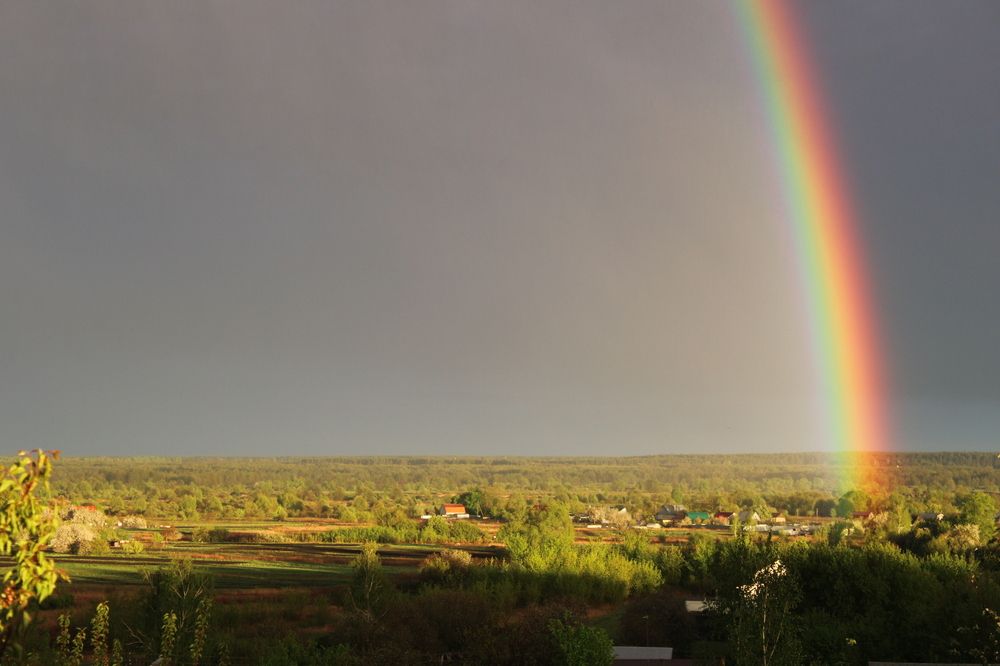 Photograph by Елена Коробченко