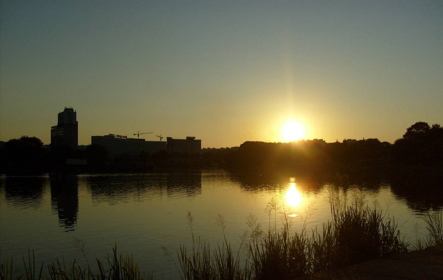 Photo #12422557