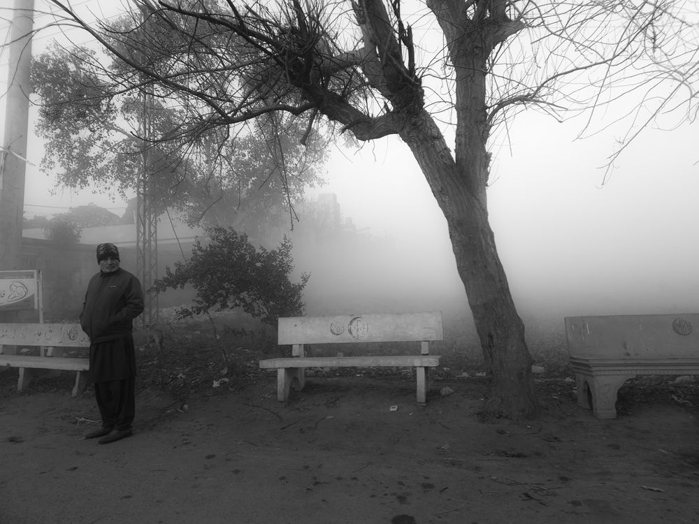 Photo #12422575