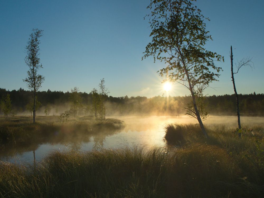 Photograph by Поляков Алексей
