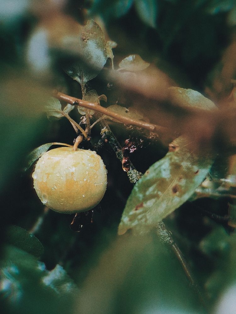 Photograph by Анастасия Доронкина