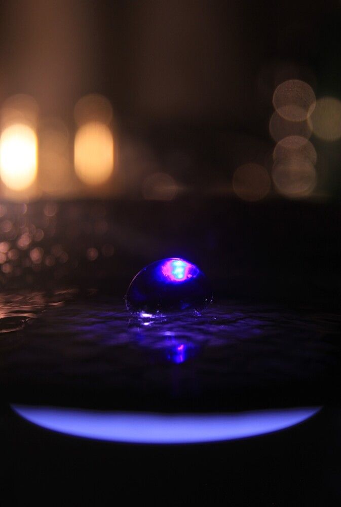 Photograph by Stannys