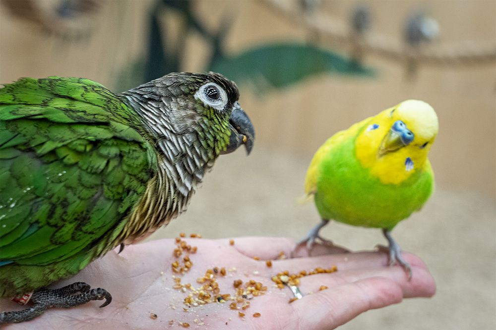 Photograph by Irina Ostapenko (Nepavlova)