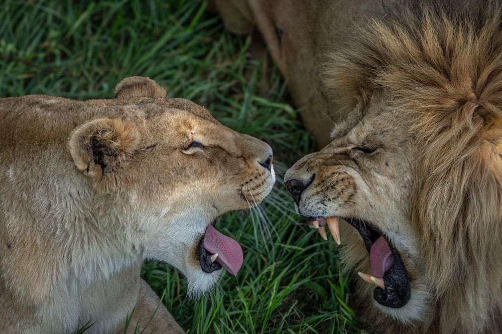 Photograph by Irina Ostapenko (Nepavlova)