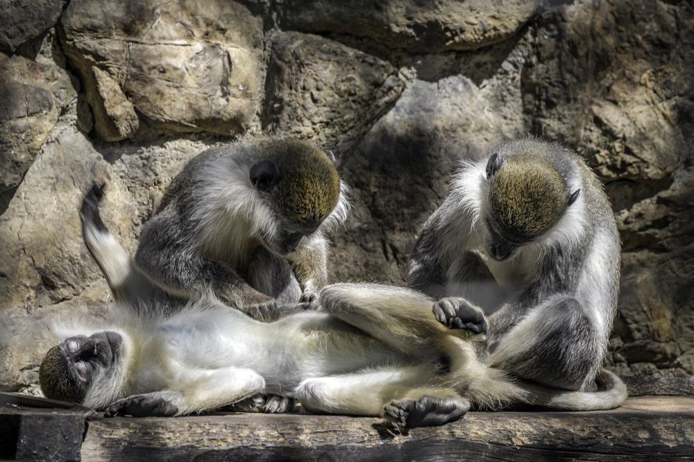 Photograph by Irina Ostapenko (Nepavlova)