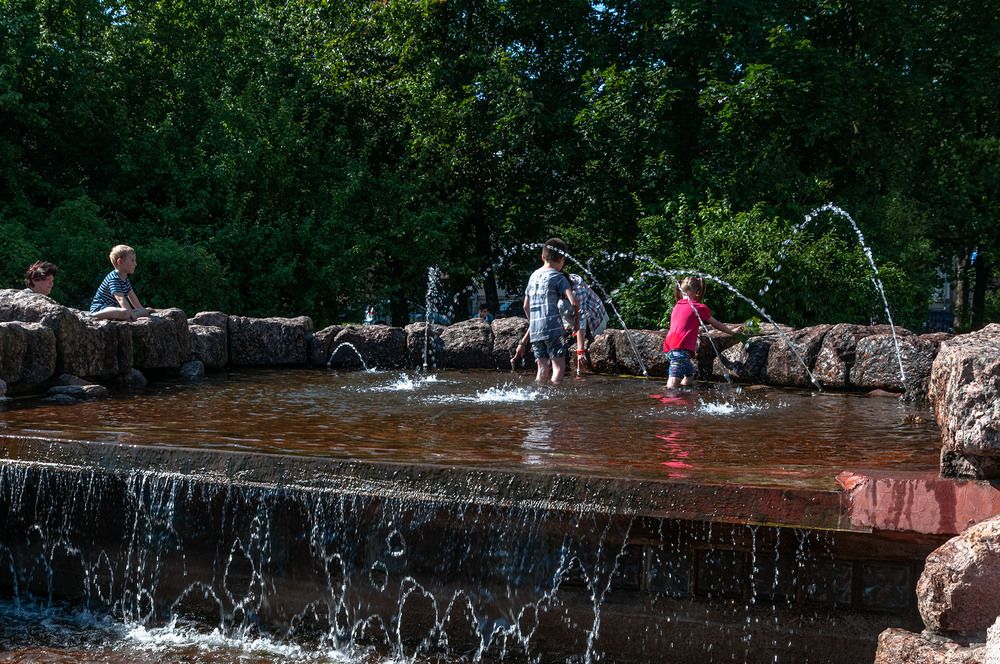 Photograph by Vladimir  Komarov