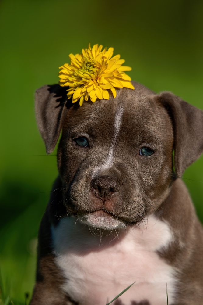 Photograph by наталья залогина