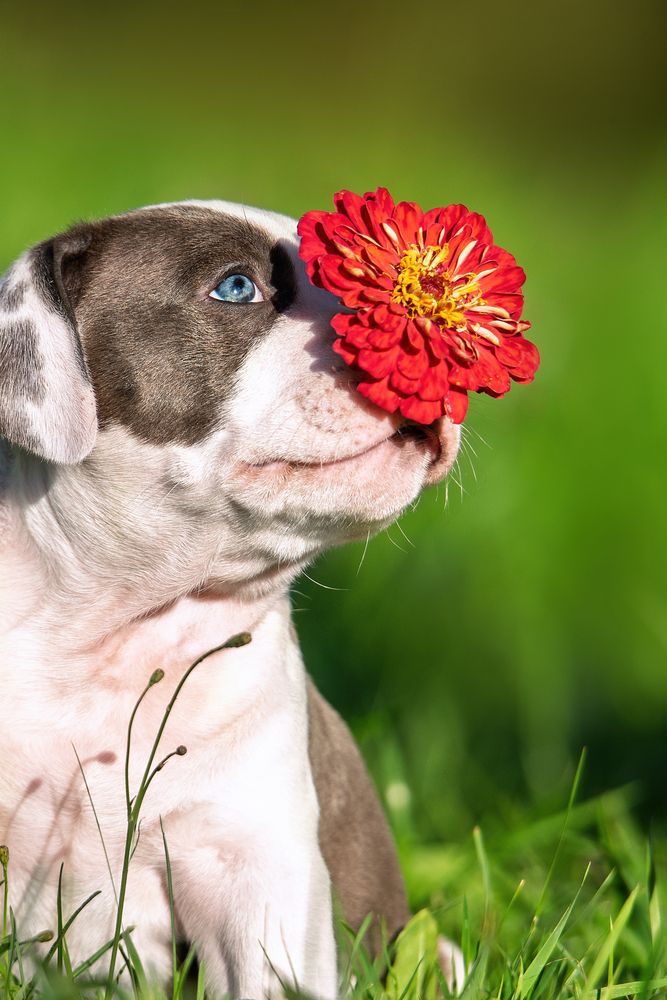 Photograph by наталья залогина