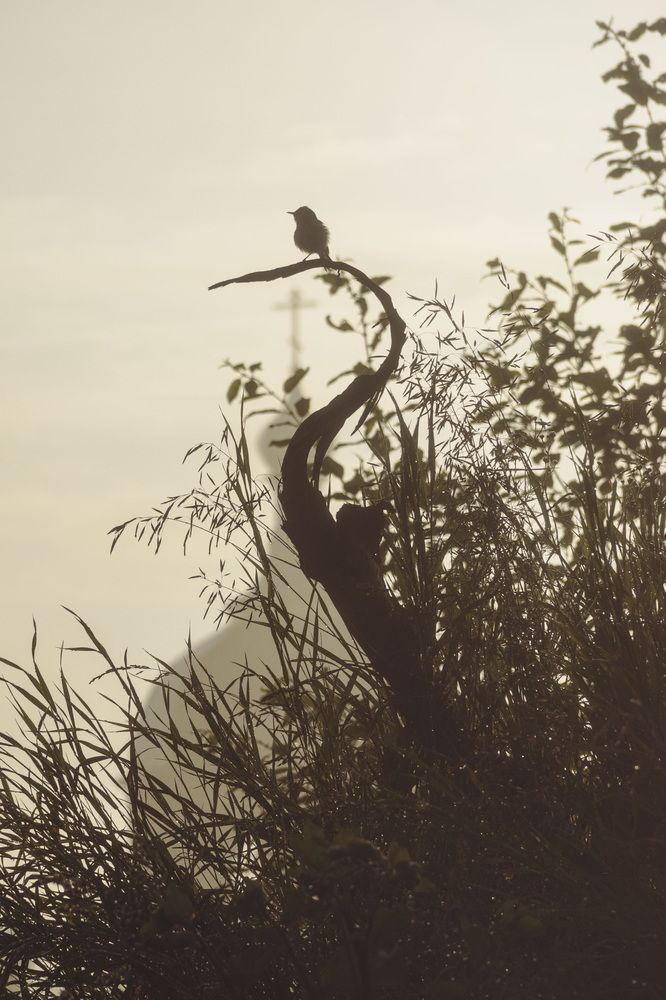 Photograph by Вадим Перминов