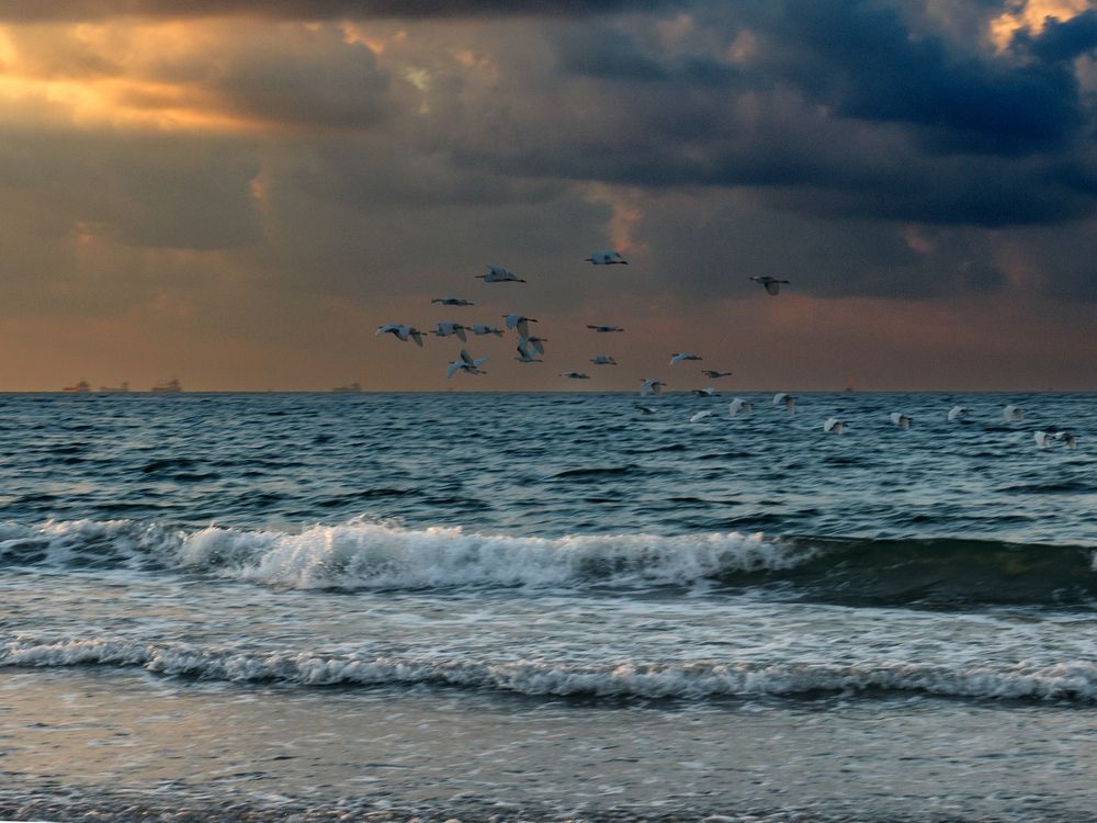 Photograph by Lev Tsenter