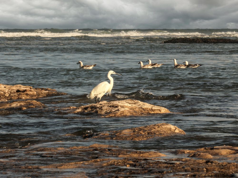 Photograph by Lev Tsenter