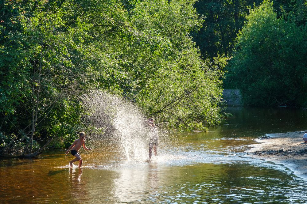 Фотография автора Наталья Липовская