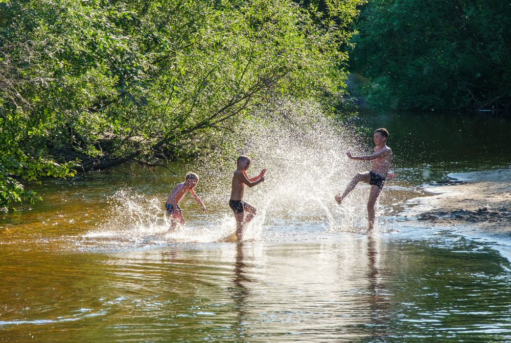 Фотография автора Наталья Липовская
