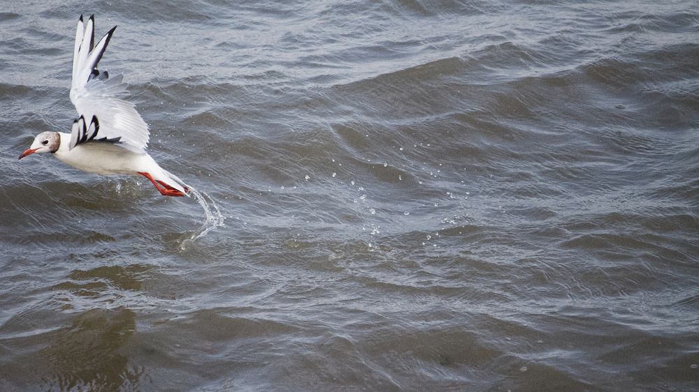 Photograph by Екатерина Иванова