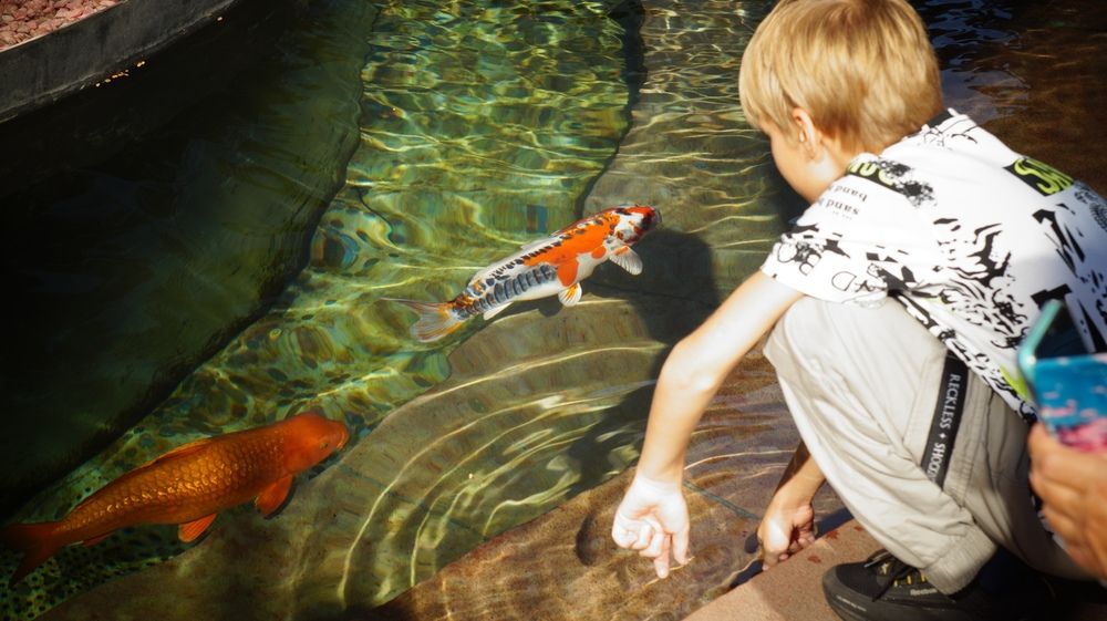 Photograph by Наталья Канищева-Медынская