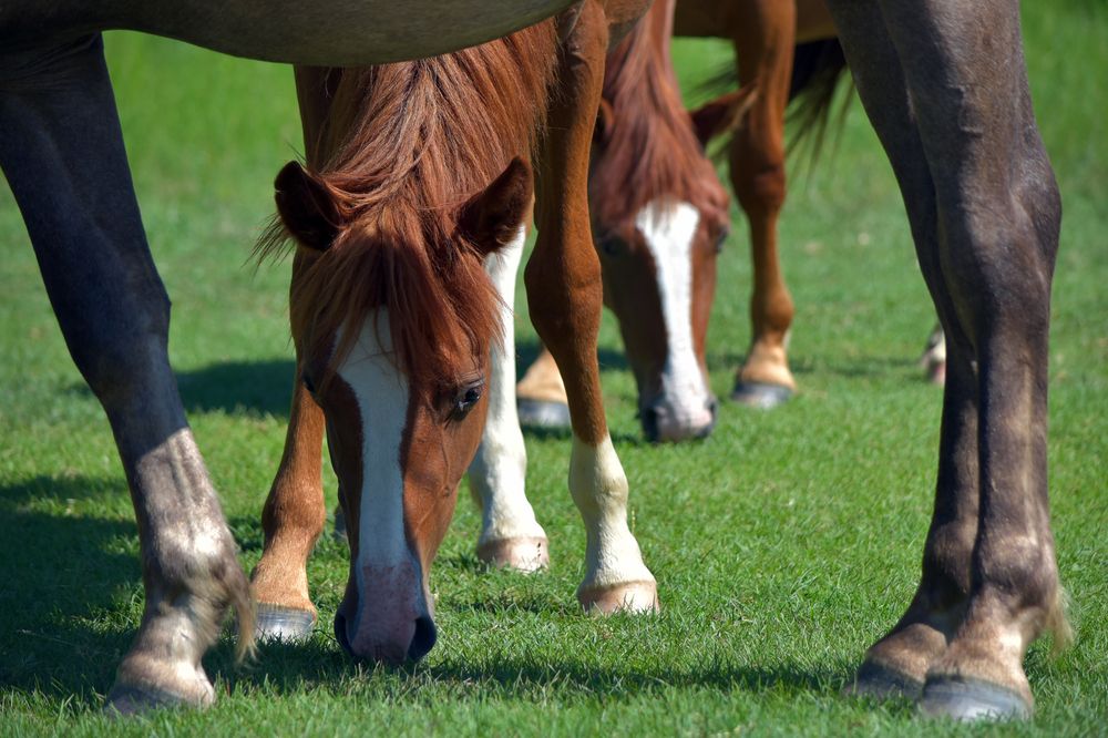 Photograph by Наталья Сорокина