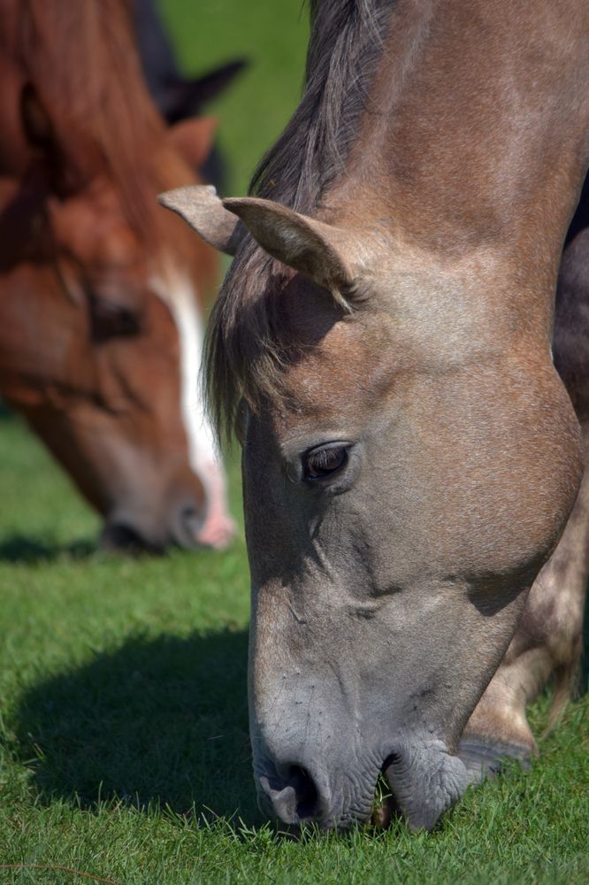 Photograph by Наталья Сорокина