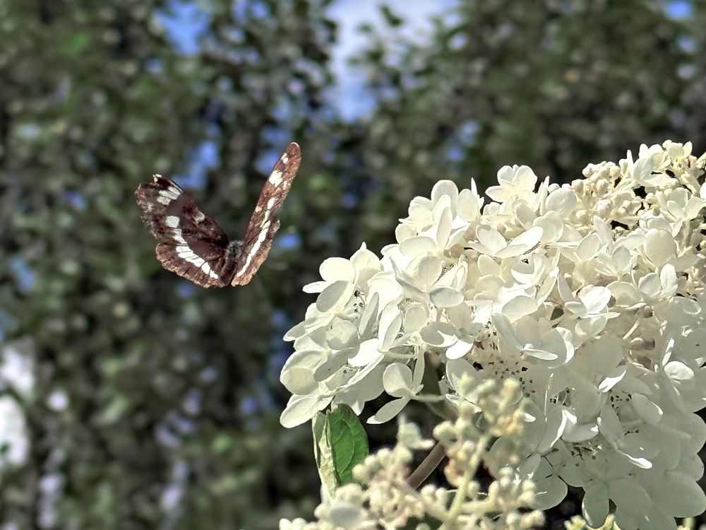 Photograph by Елена Чулюнина