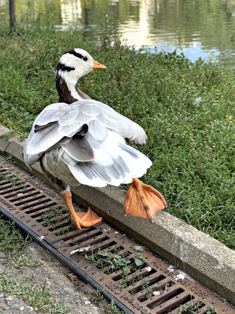 Photograph by Елена Чулюнина