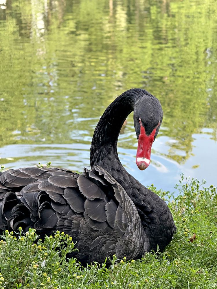 Photograph by Елена Чулюнина