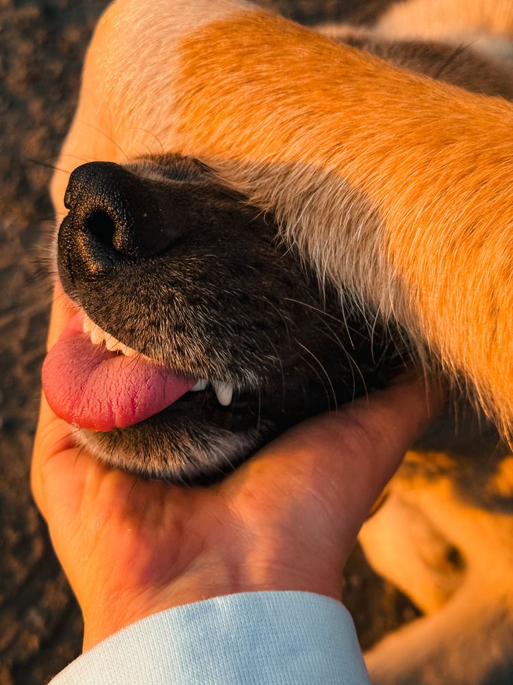 Photograph by алена